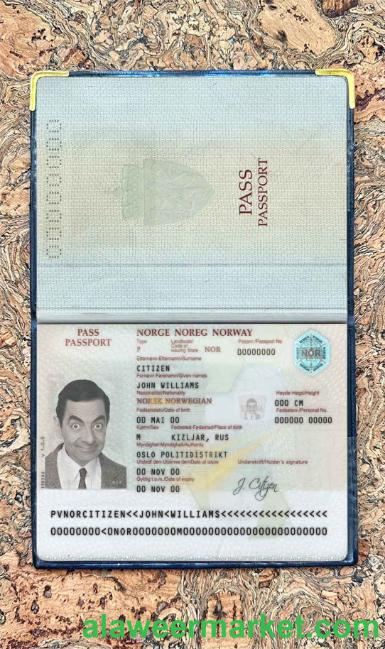 Norway passport photo look